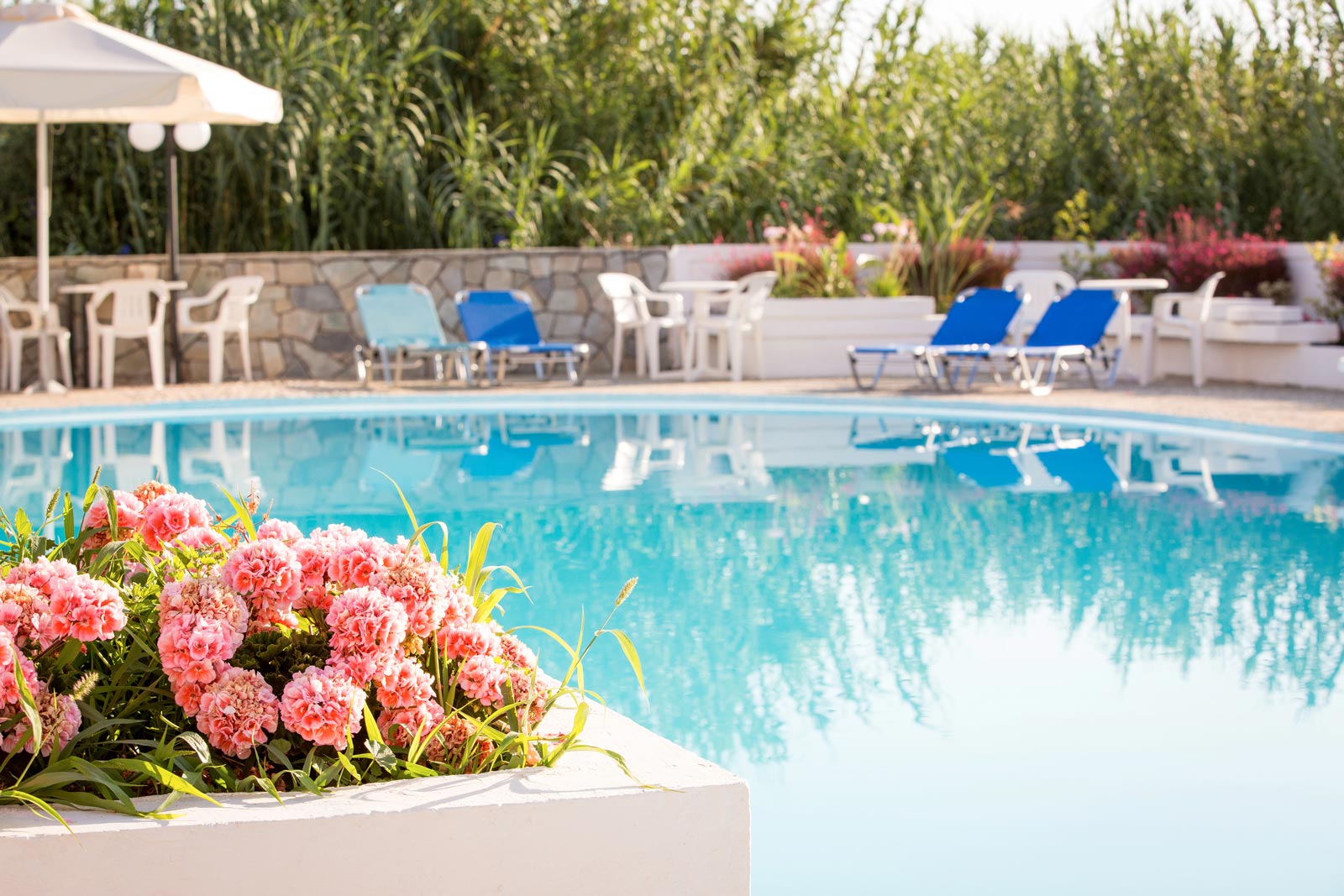 Hotel's exterior pool